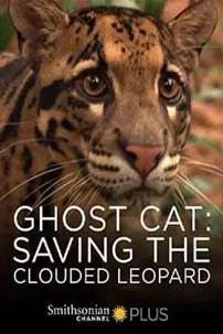 watch-Ghost Cat: Saving the Clouded Leopard