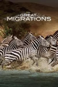 watch-Great Migrations