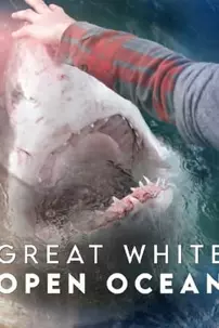 watch-Great White Open Ocean