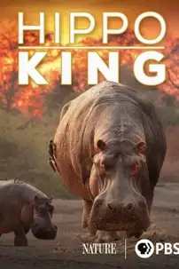 watch-Hippo King