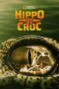 watch-Hippo vs Croc