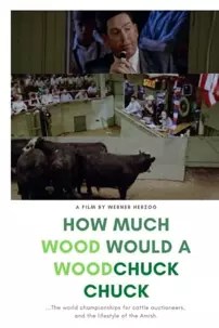 watch-How Much Wood Would a Woodchuck Chuck