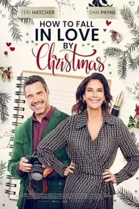 watch-How to Fall in Love by Christmas