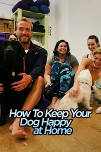 watch-How to Keep Your Dog Happy at Home