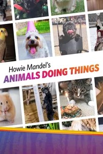 watch-Howie Mandel’s Animals Doing Things