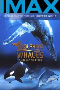 watch-IMAX Dolphins and Whales: Tribes of the Ocean