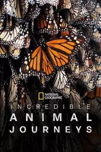 watch-Incredible Animal Journeys