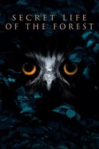 watch-Inside the Forest: Seasons of Wonder