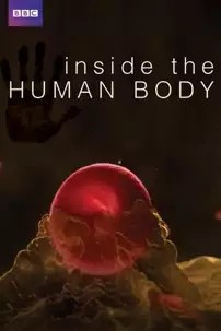 watch-Inside the Human Body