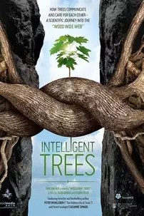 watch-Intelligent Trees