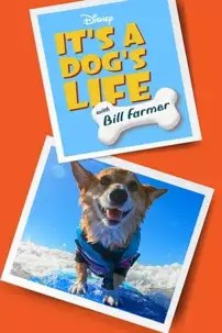 watch-It’s a Dog’s Life with Bill Farmer