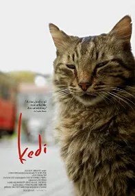 watch-Kedi