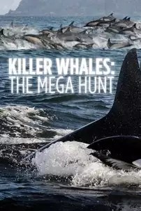 watch-Killer Whales: the Mega Hunt