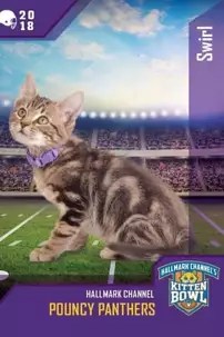 watch-Kitten Bowl VIII Special