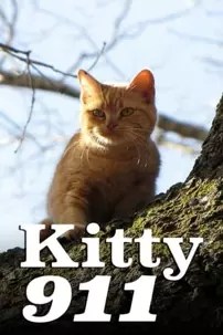 watch-Kitty 911