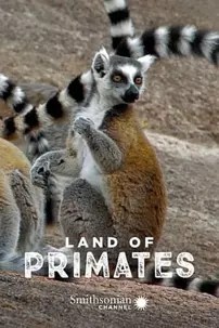 watch-Land of Primates