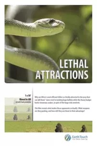 watch-Lethal Attractions