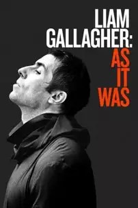 watch-Liam Gallagher: As It Was