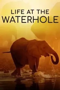 watch-Life at the Waterhole