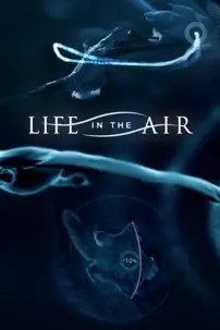 watch-Life in the Air