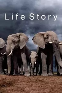 watch-Life Story