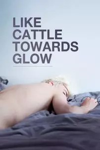 watch-Like Cattle Towards Glow