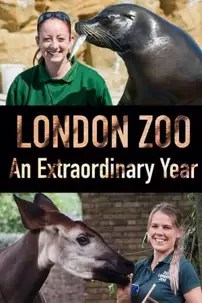watch-London Zoo: An Extraordinary Year