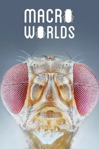 watch-Macro Worlds