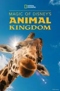 watch-Magic of Disney’s Animal Kingdom