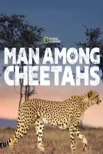 watch-Man Among Cheetahs