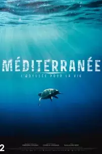 watch-Mediterranean: Life Under Siege