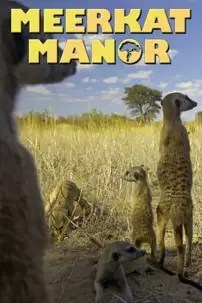 watch-Meerkat Manor