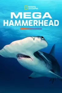 watch-Mega Hammerhead