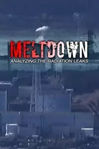 watch-Meltdown: Analyzing the Radiation Leaks