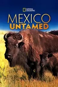 watch-Mexico Untamed