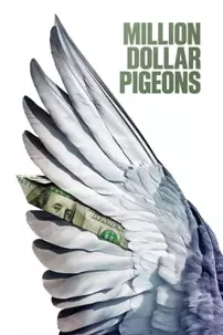 watch-Million Dollar Pigeons