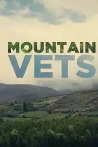 watch-Mountain Vets