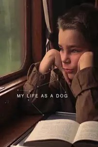 watch-My Life as a Dog