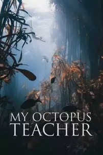 watch-My Octopus Teacher