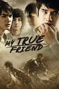 watch-My True Friend