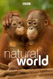 watch-Natural World