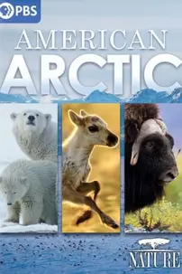 watch-Nature: American Arctic