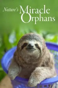 watch-Nature’s Miracle Orphans