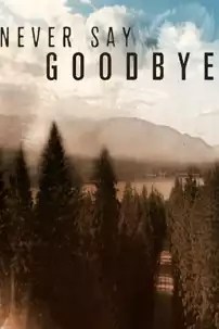 watch-Never Say Goodbye