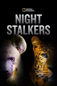 watch-Night Stalkers