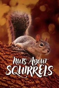 watch-Nuts About Squirrels