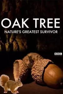 watch-Oak Tree: Nature’s Greatest Survivor