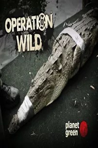 watch-Operation Wild