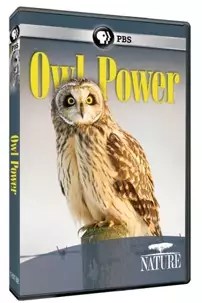 watch-Owl Power