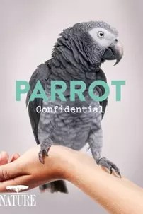 watch-Parrot Confidential